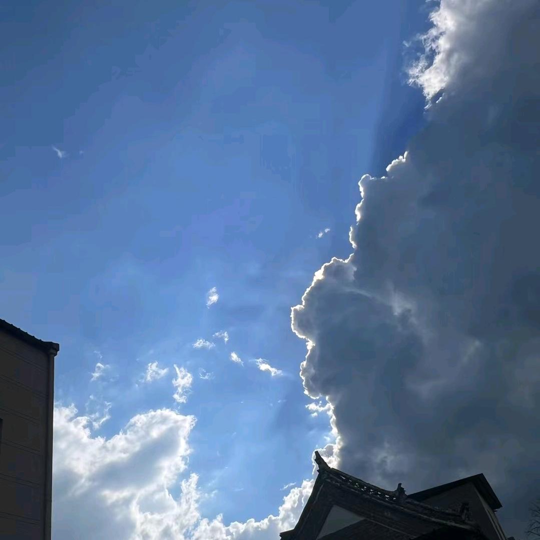 牛大哥