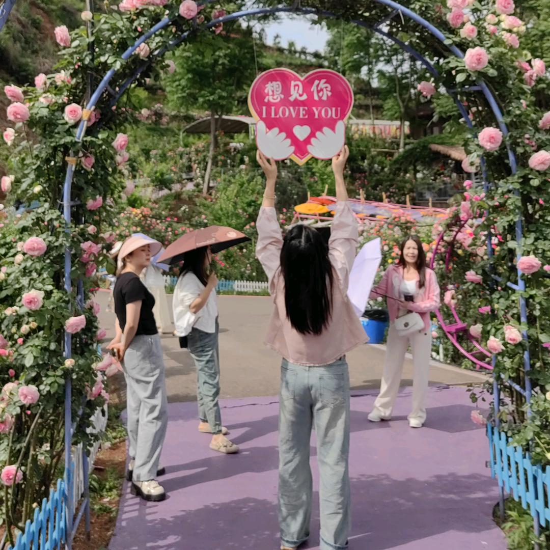 燕子🌹