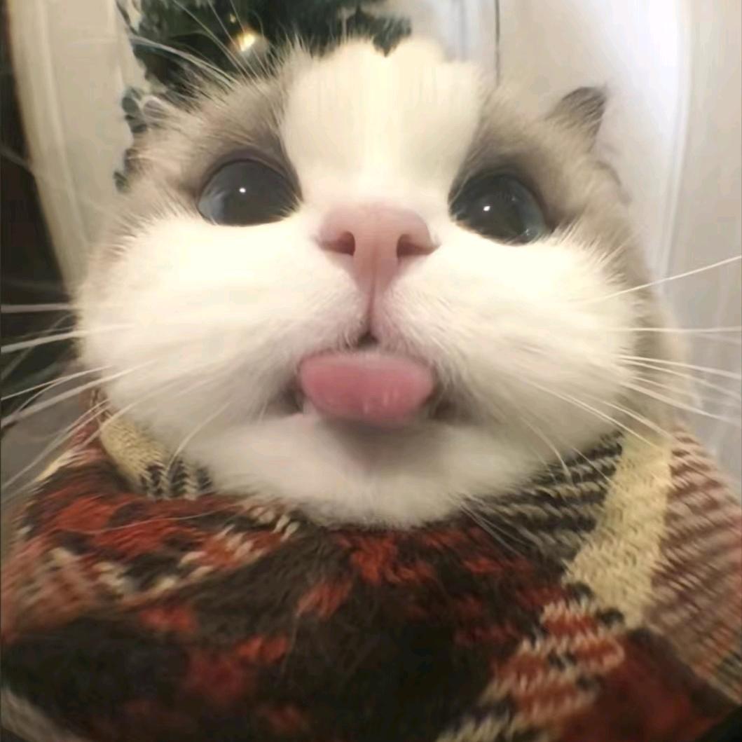 小晴不乖.