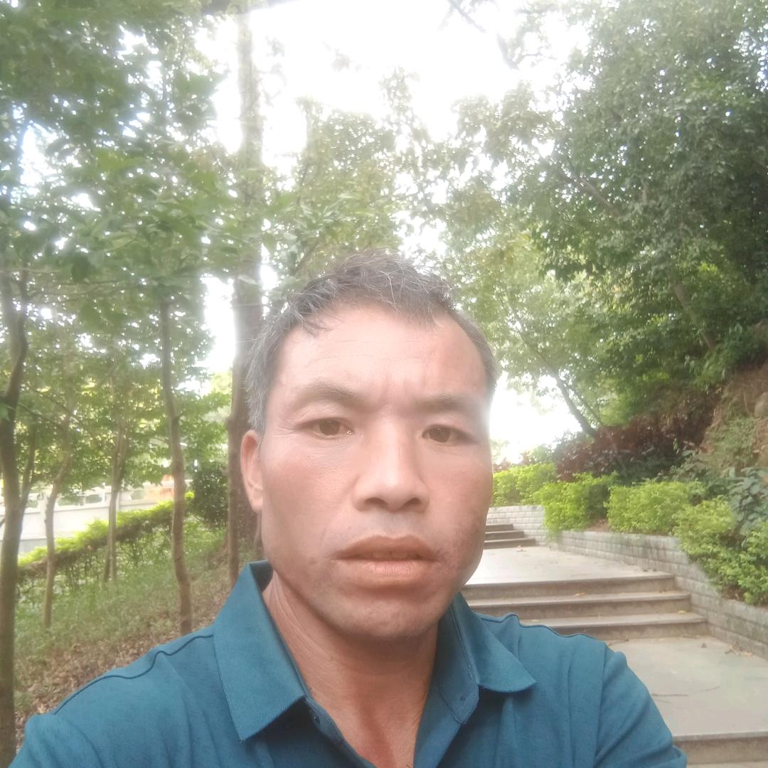 小杨哥，
