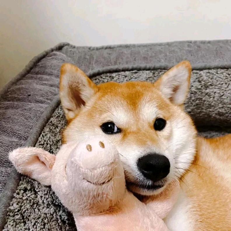 李辉