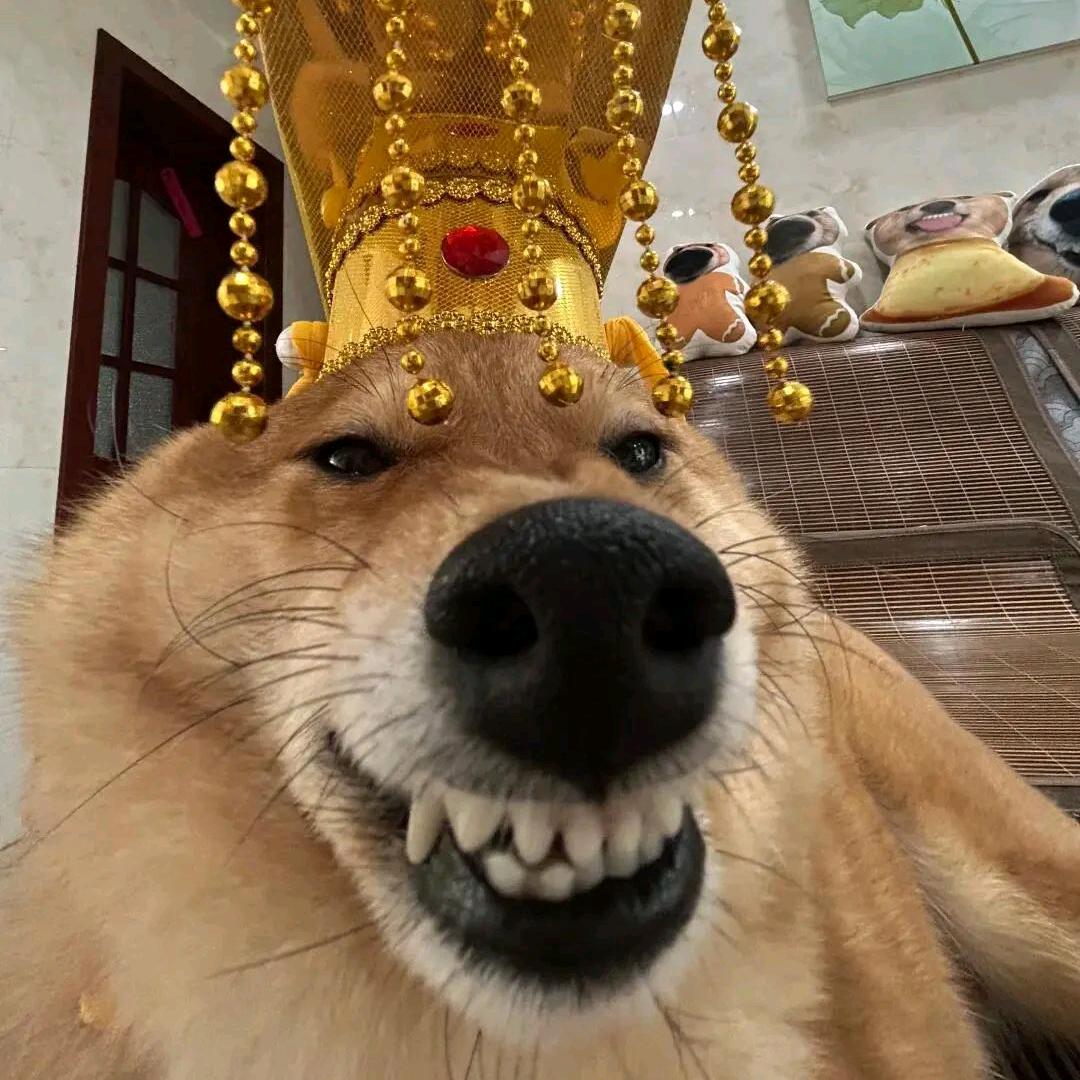 发财💥炒粉