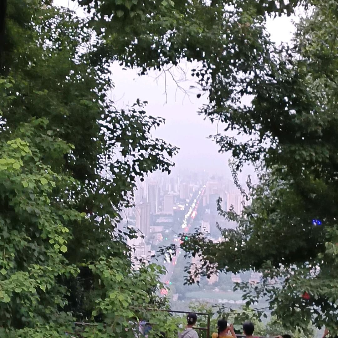 新密视