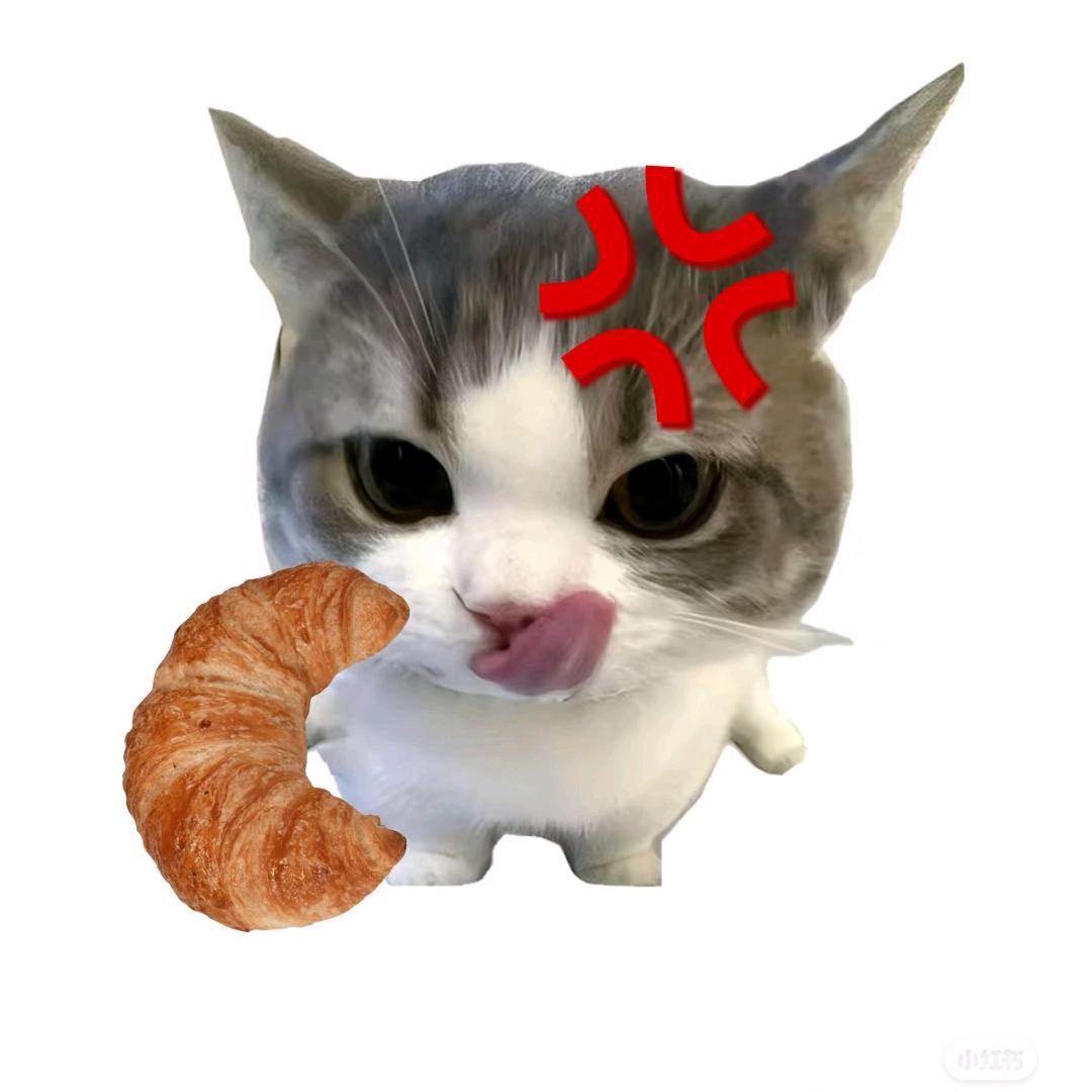 芷芷
