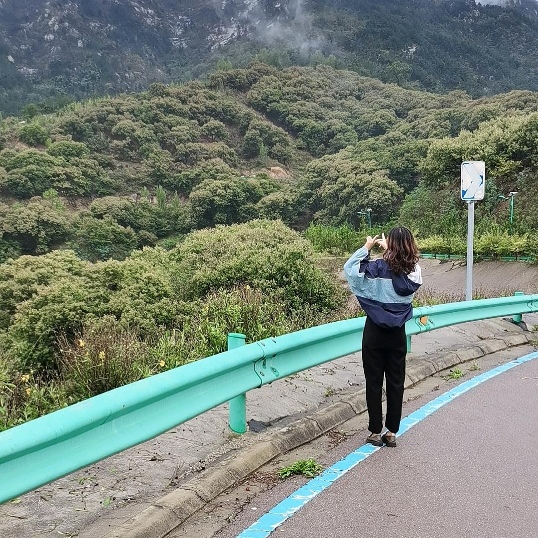 璃月小甜饼
