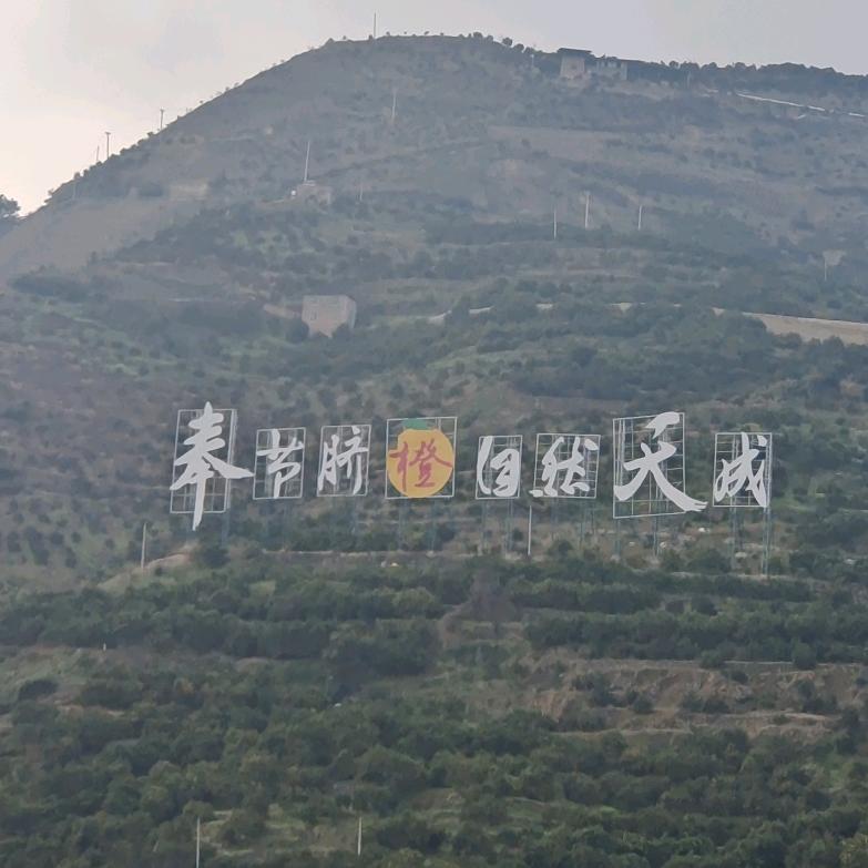 地毯水果哥