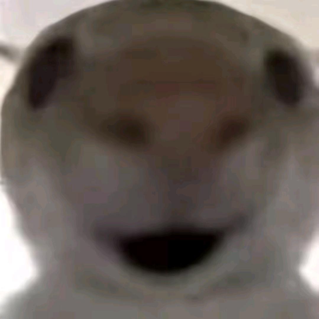 鼠鼠（三角洲行动）