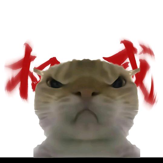 一个权威的石某人🤓😏