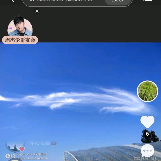 空心竹