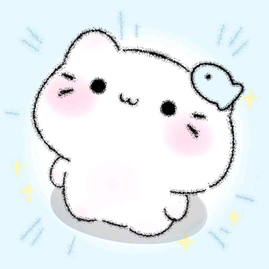 小帆早睡