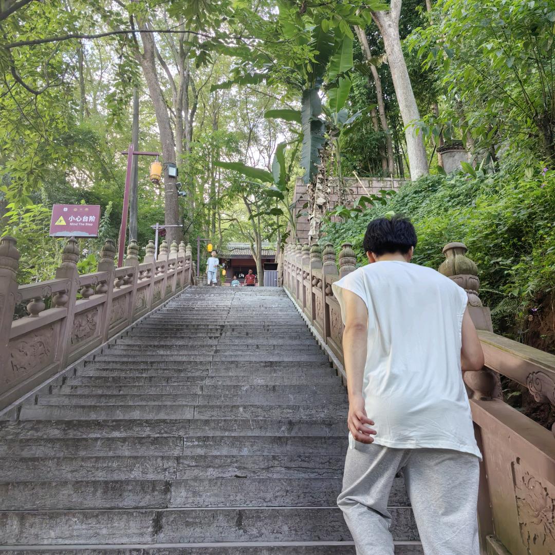 雁飞
