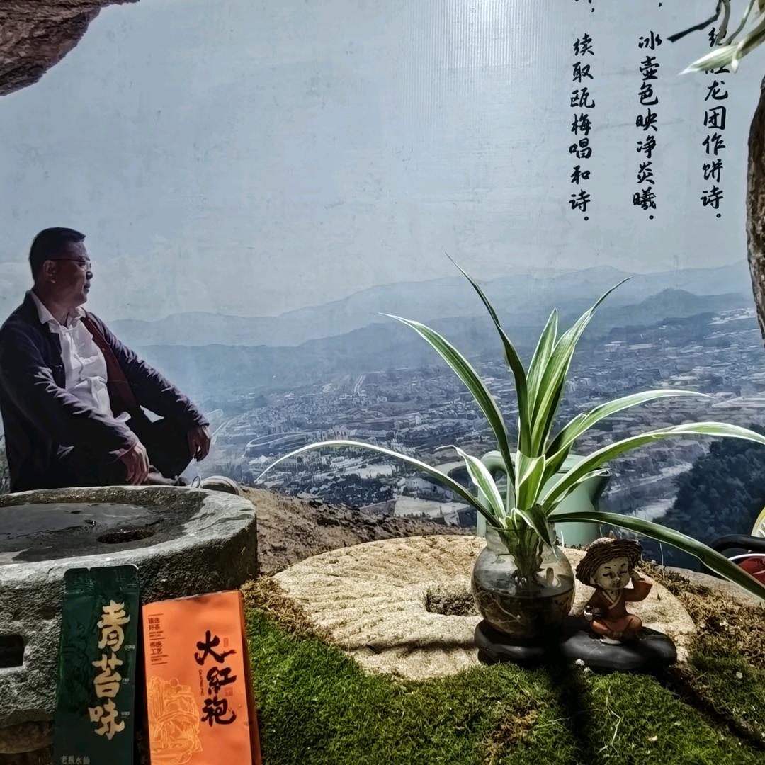 武夷山之恋
