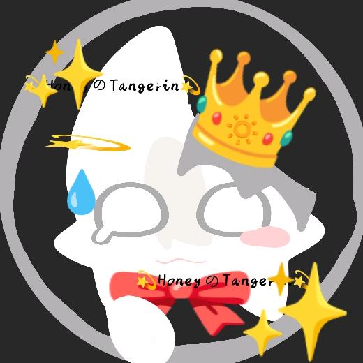 💫 HoneyのTangerin💫