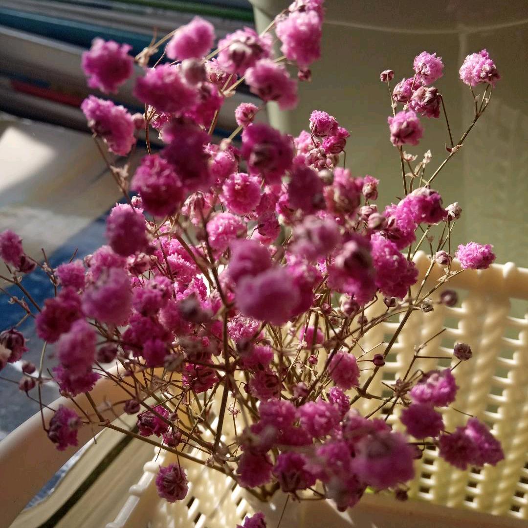 乡村奶奶👵🏻