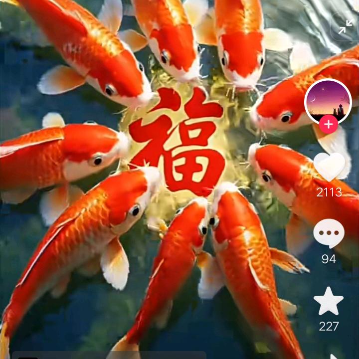美好一生