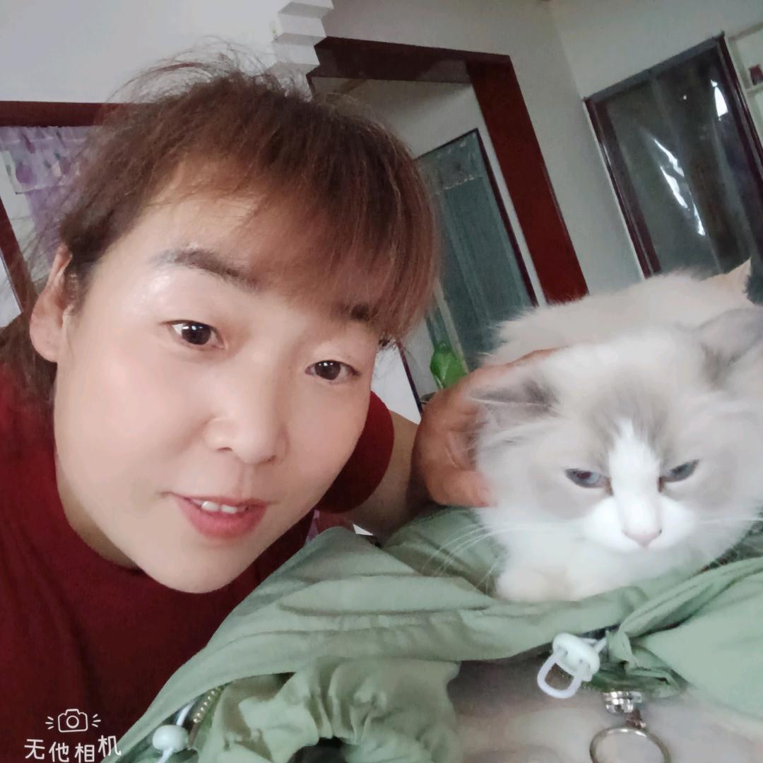 北牛餐饮红，白，喜事一条龙服务