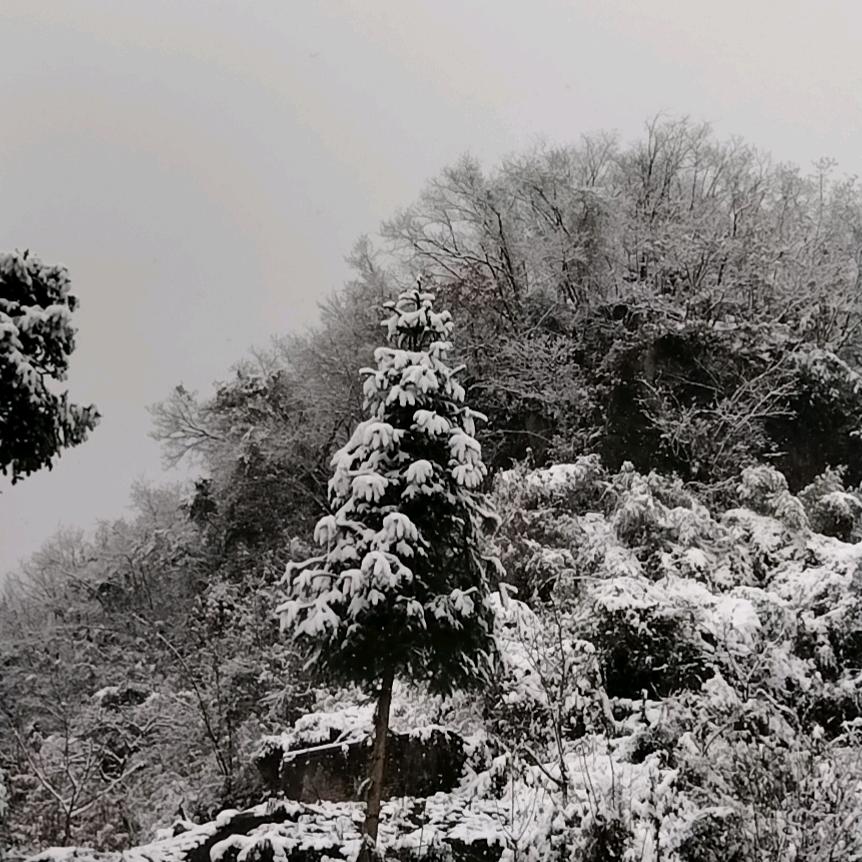 笑傲江湖