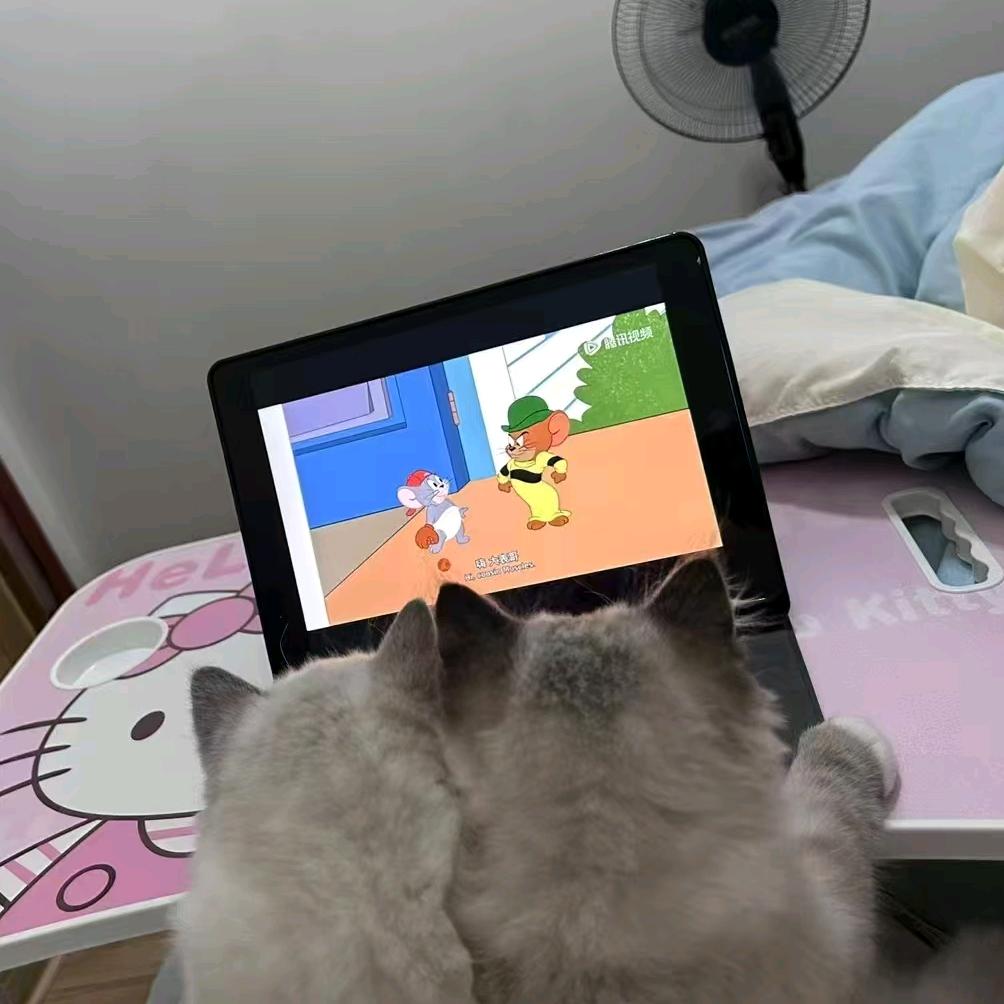 小屈