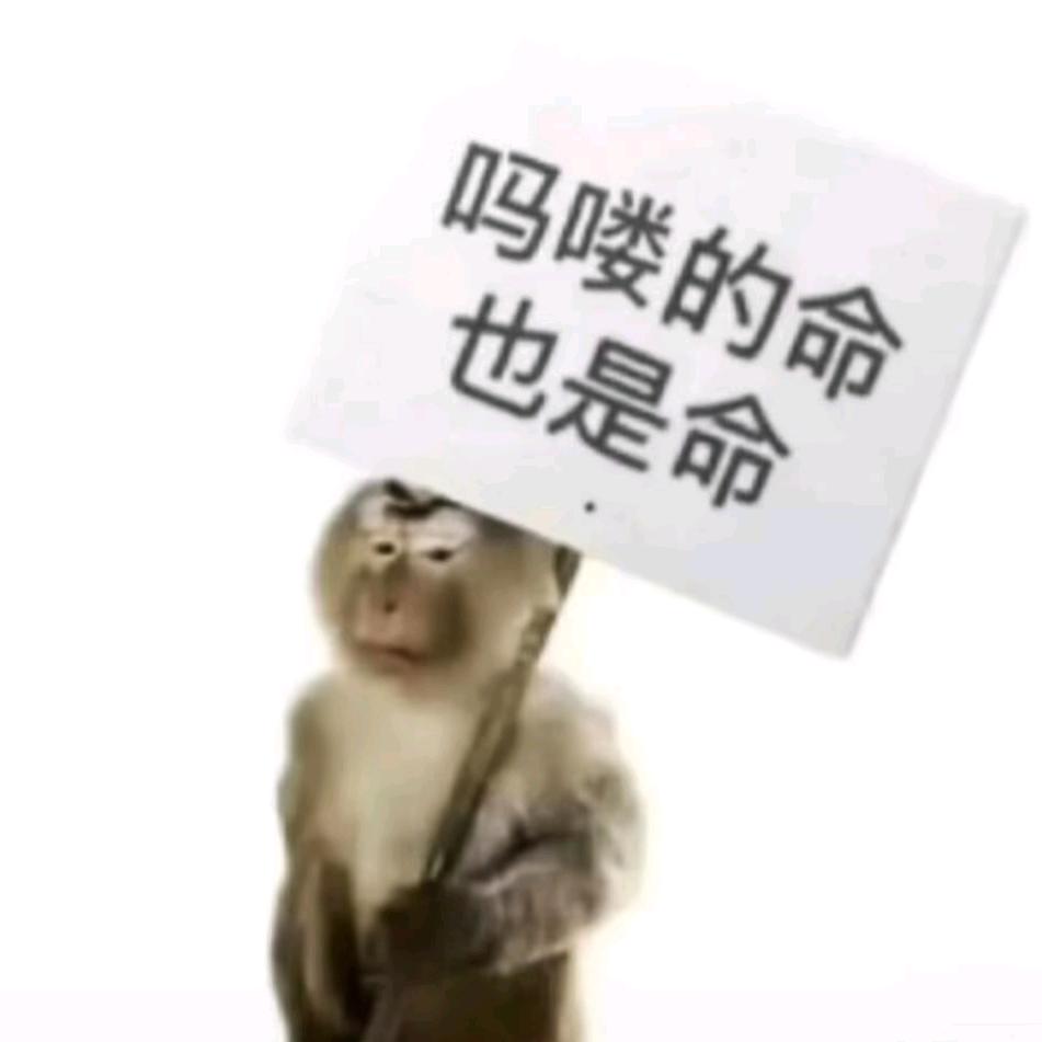 你这么年轻应该趾高气昂