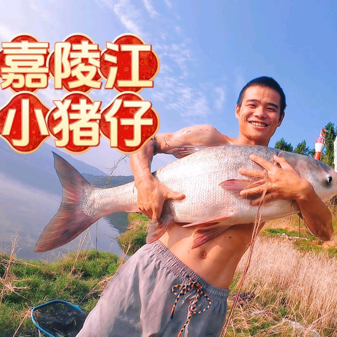 爱钓鱼的二宝