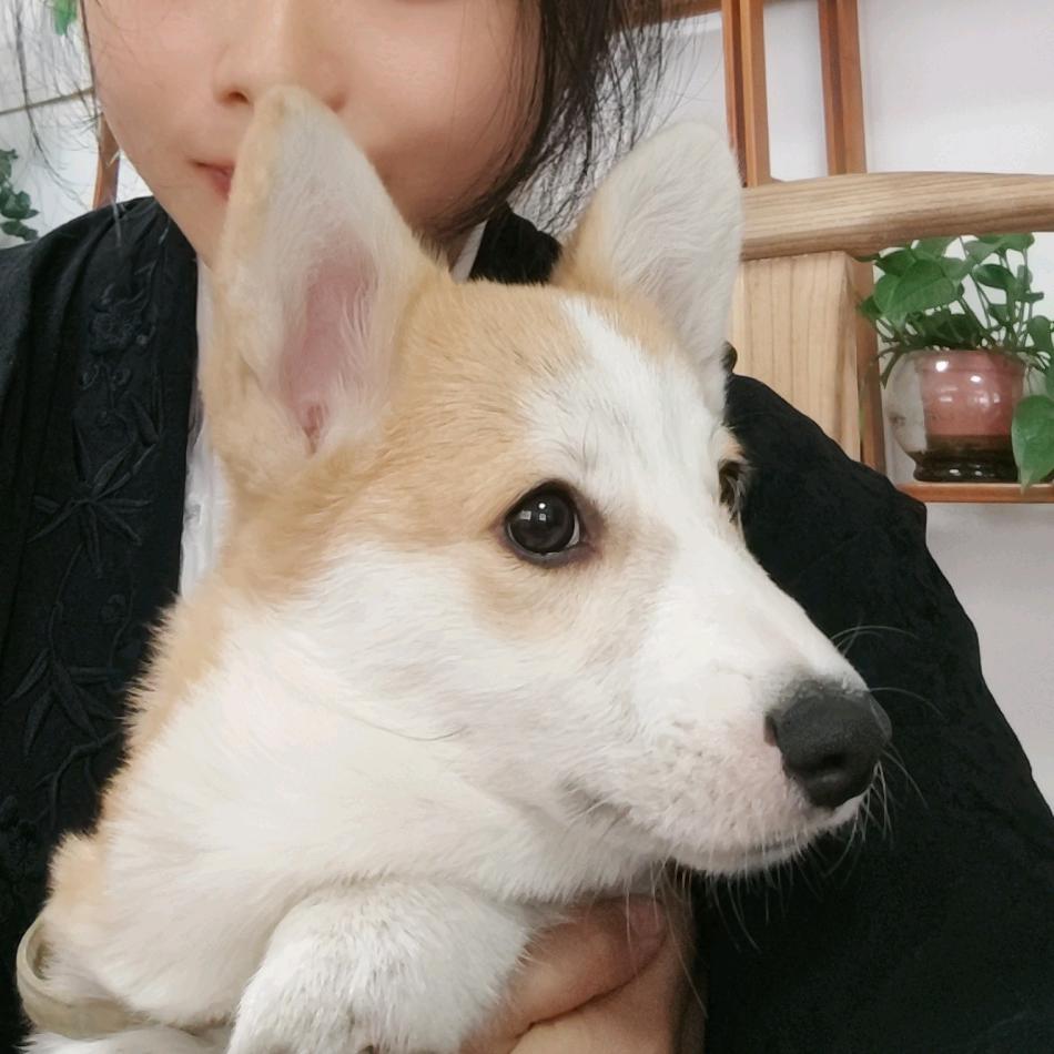 唐小柯的一天