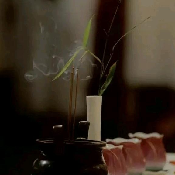 烛影苍龙。