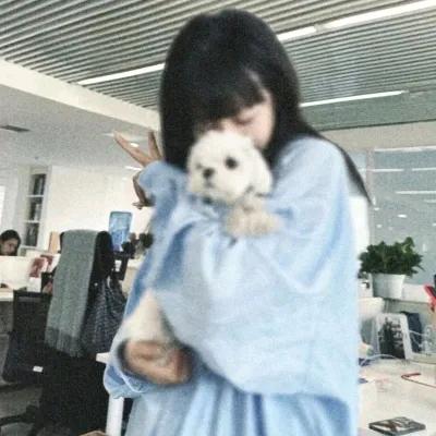 @双双张