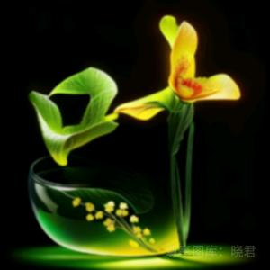 🥀ঞ叶哥₅₂₀💞࿐