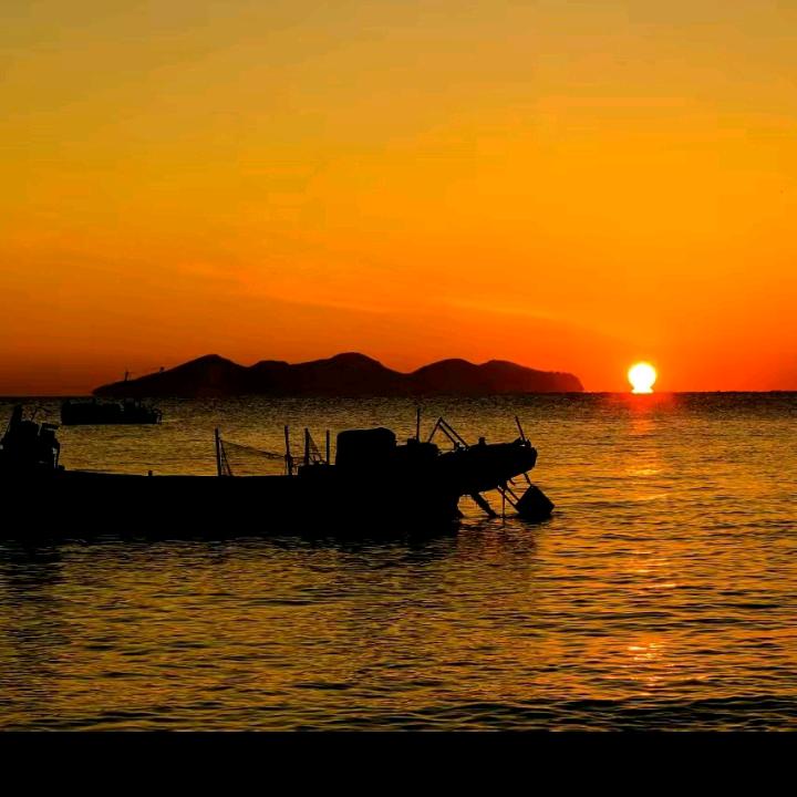 自由流浪