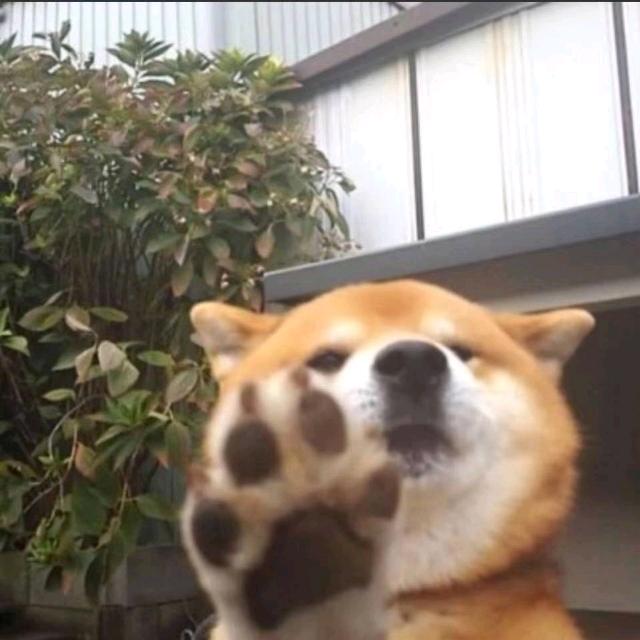 陈