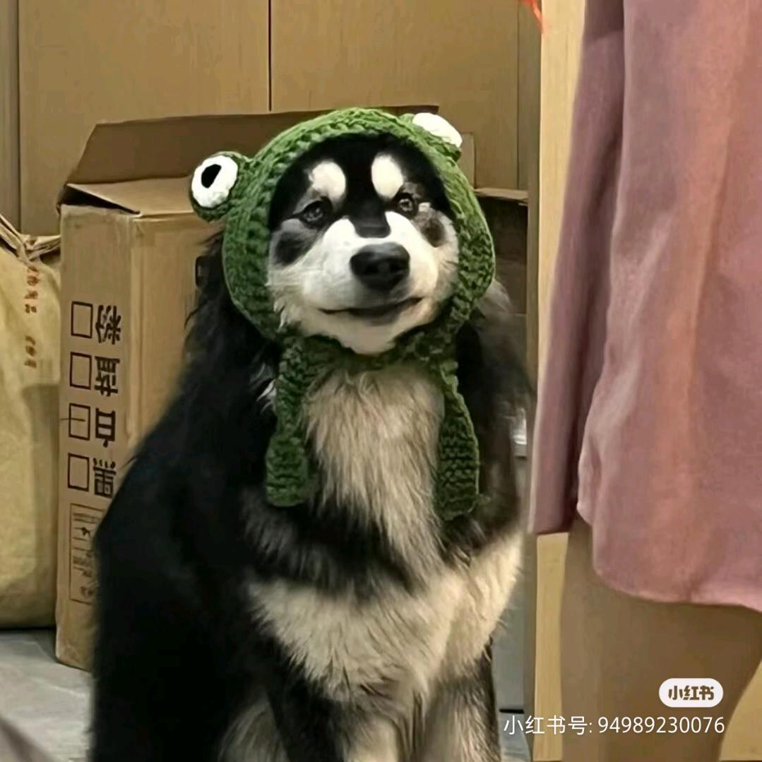小涛