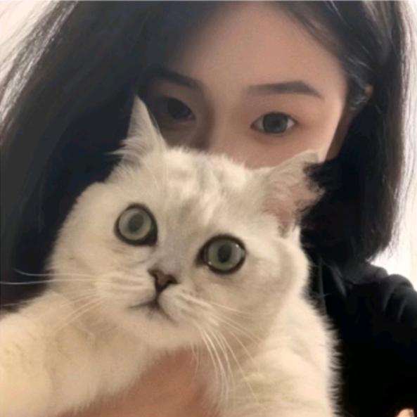 别说早安^
