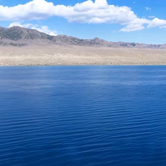 风景捕手🐉♈️