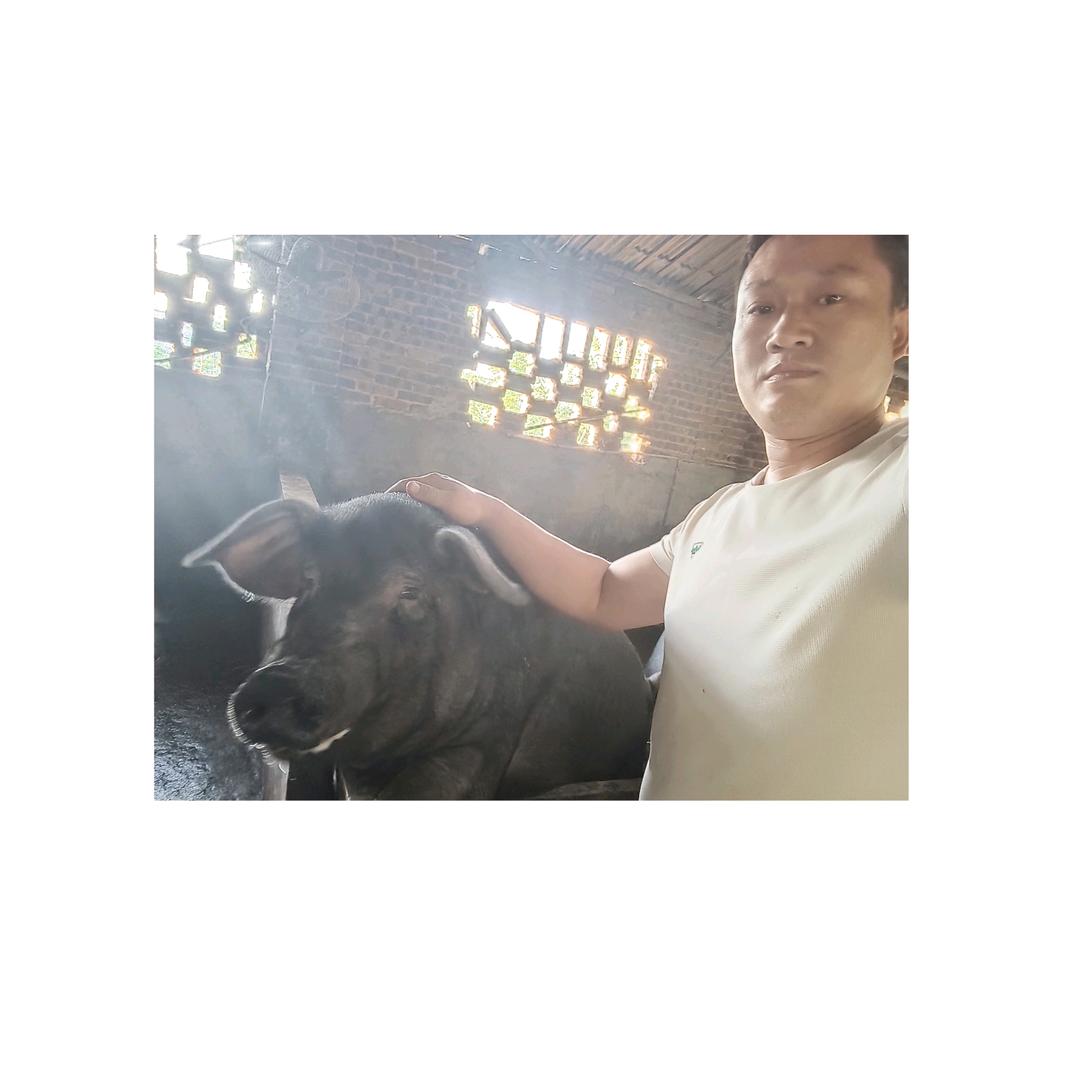 农家优选&生态养殖