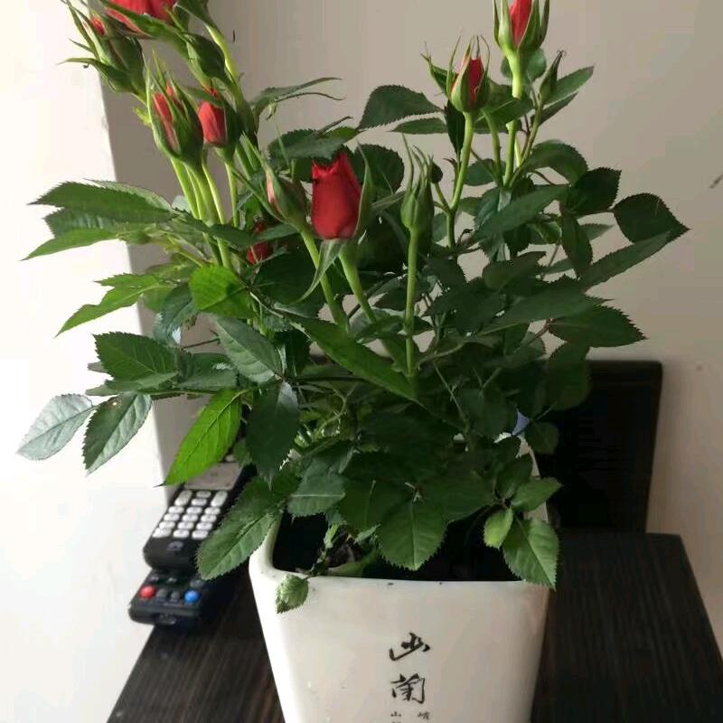 文文的百货批发部