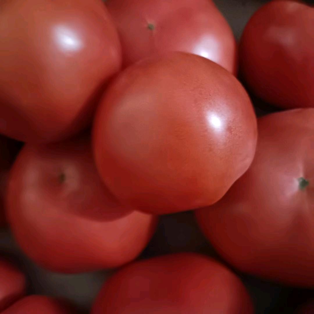 心快乐，心情好