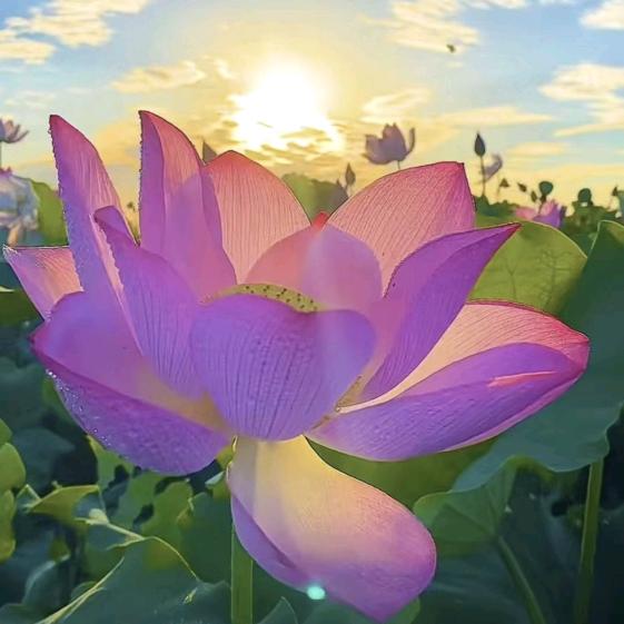 元宝区紫微能量珠宝行