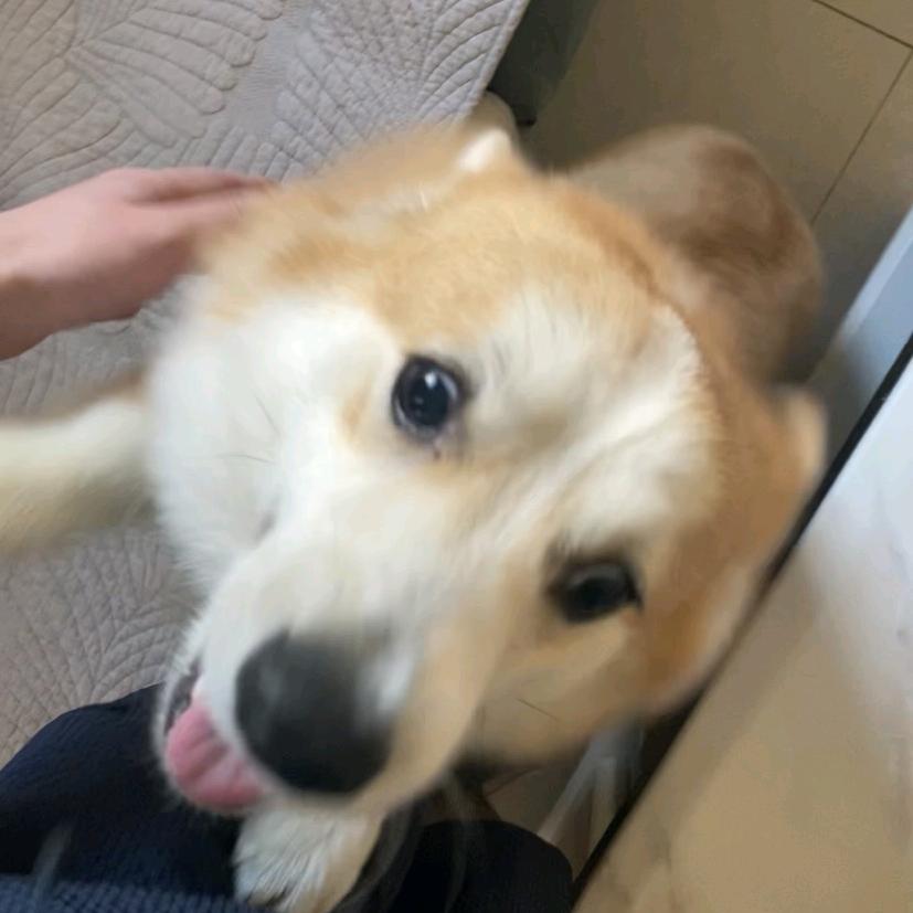 陈慢慢