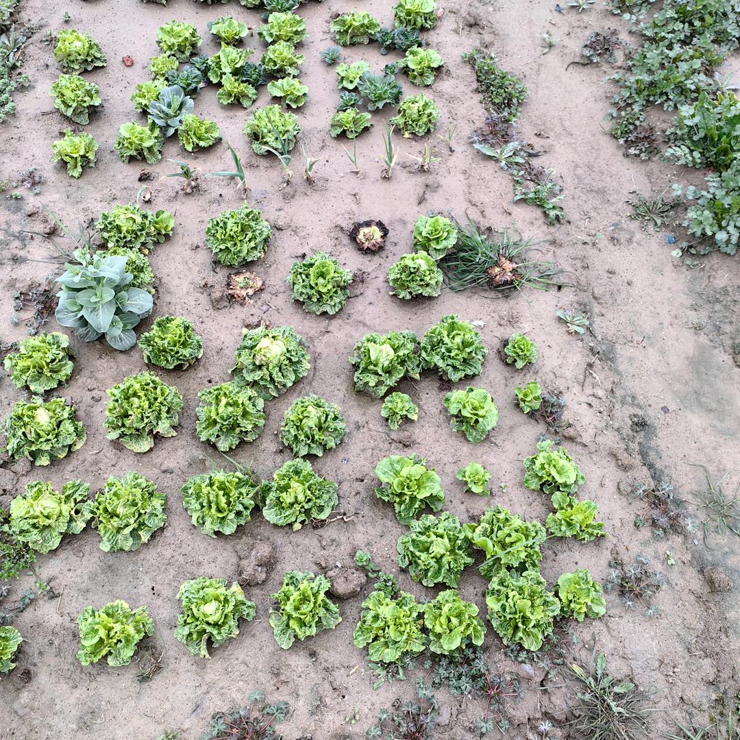 空调，维修，移机，安装，回收，出售出租