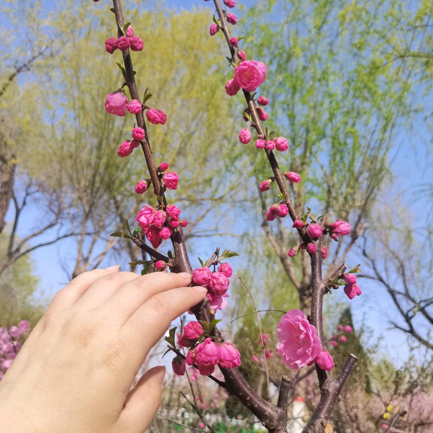 怀锦握瑜兮