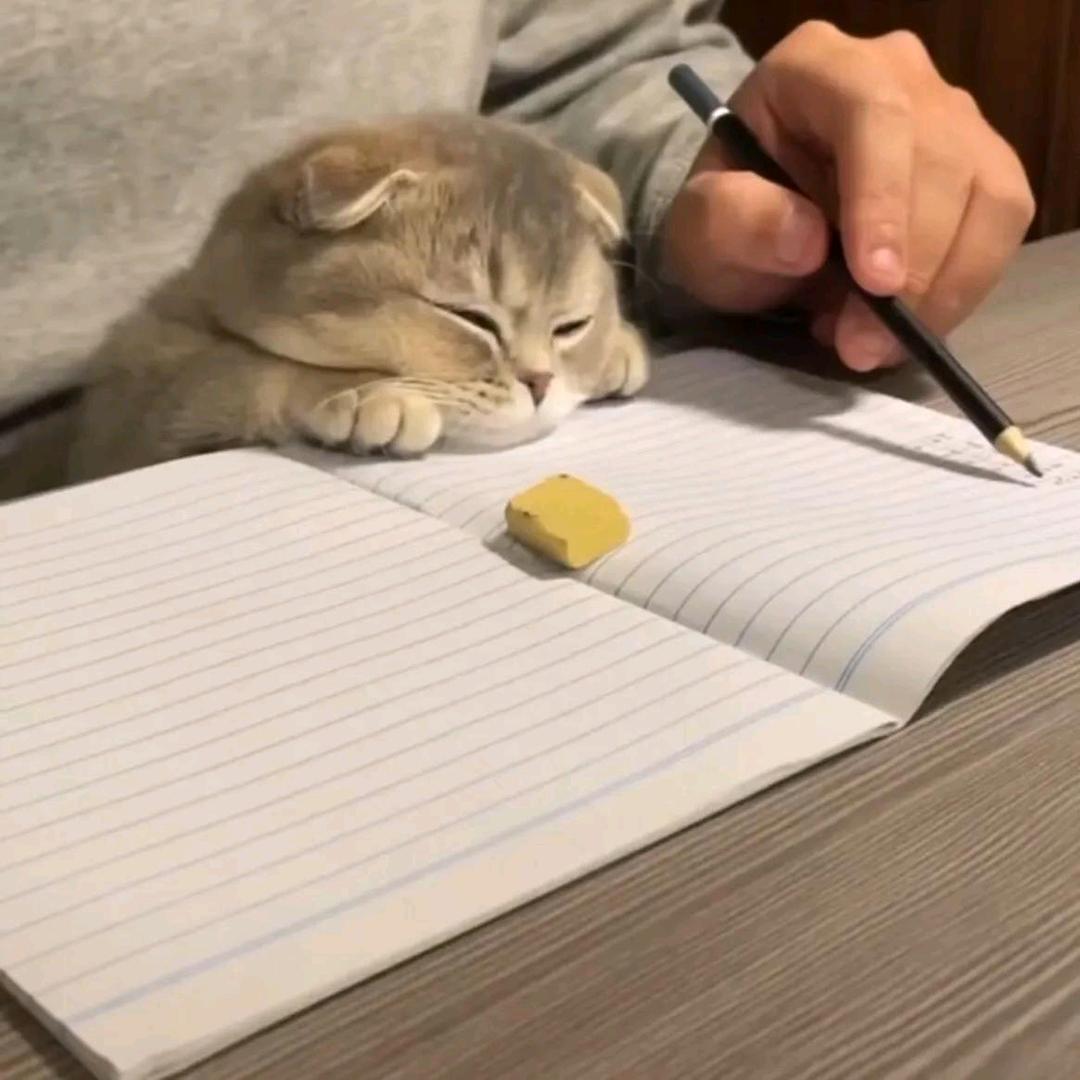 水果大王陆小果