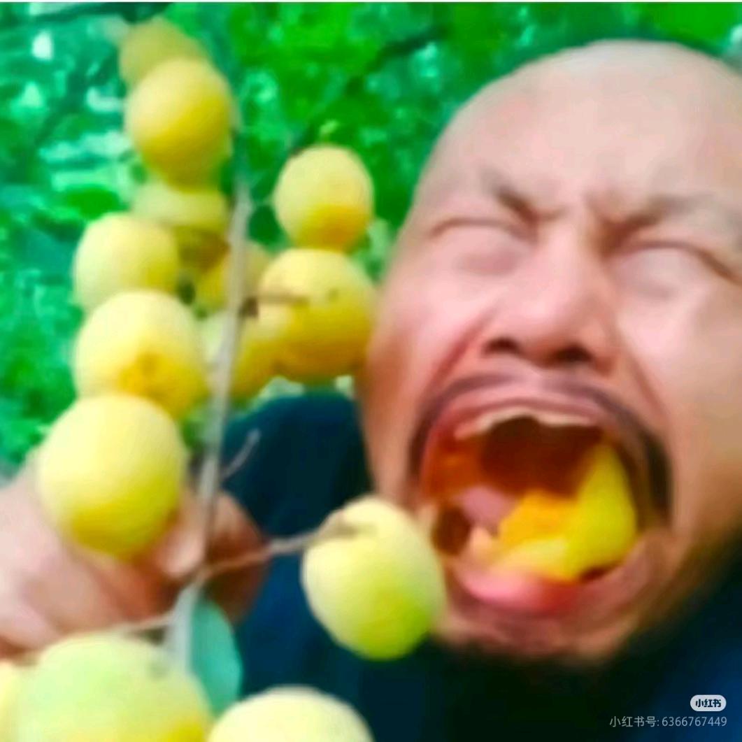 泡不到的阿姨