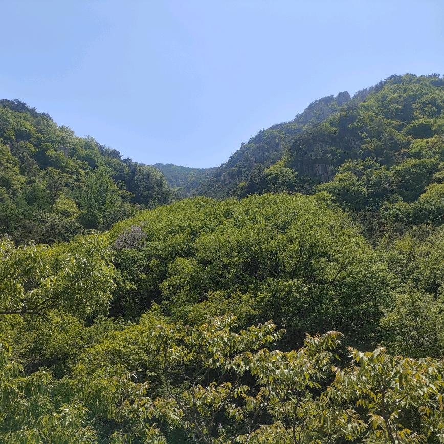 远赴山海