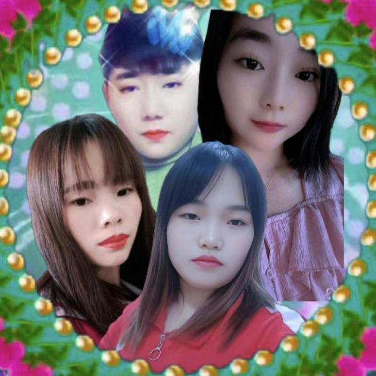梦中小菊