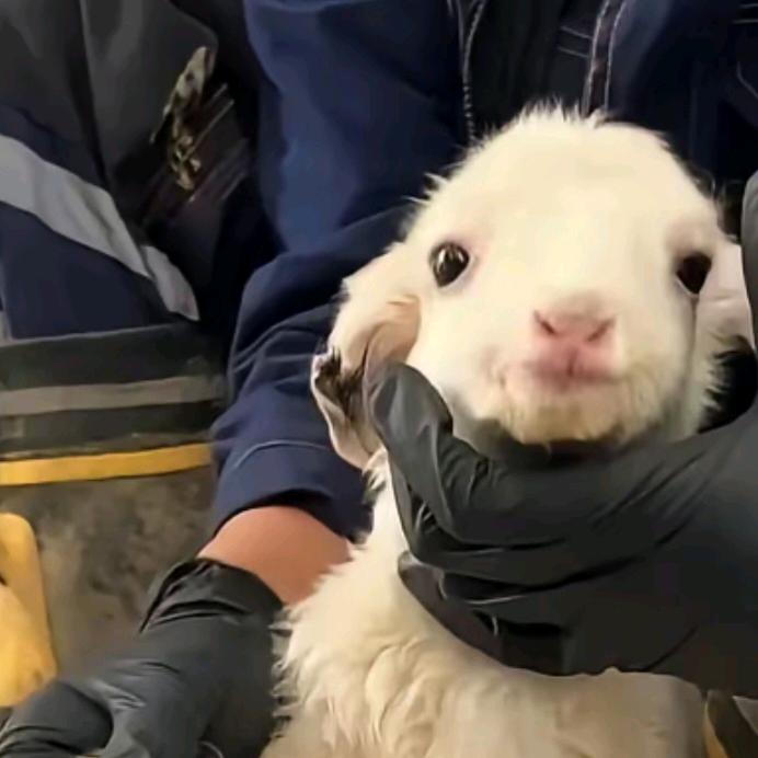 ber你的鱼要跑了