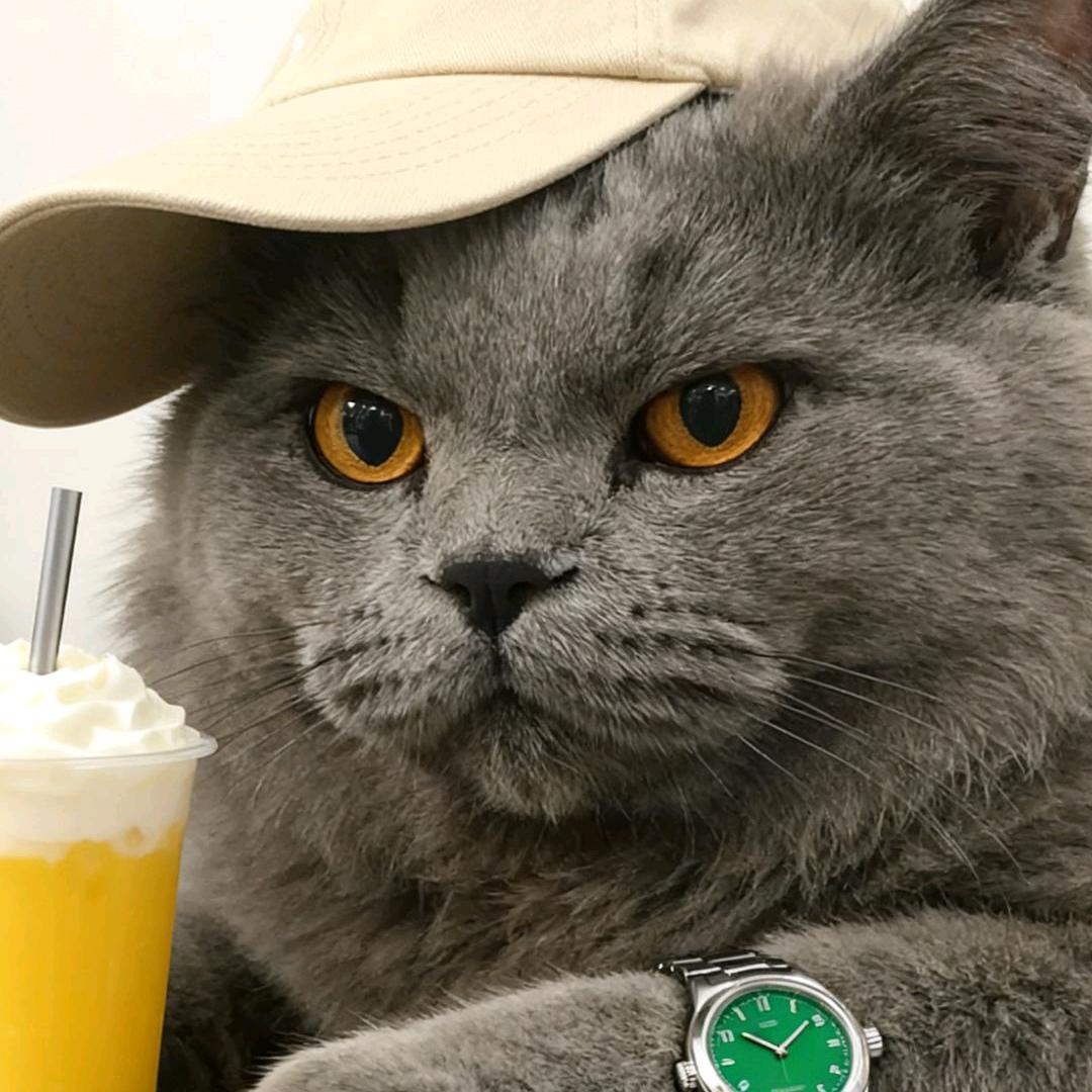 郝胖胖(ง •̀_•́)ง