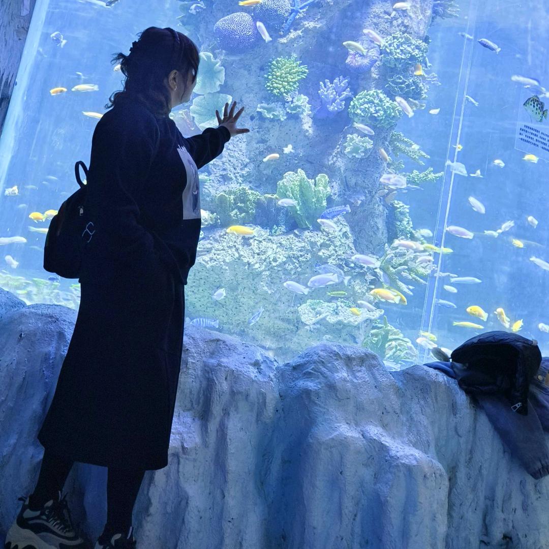 70后二宝奶奶记录生活(好物推荐)