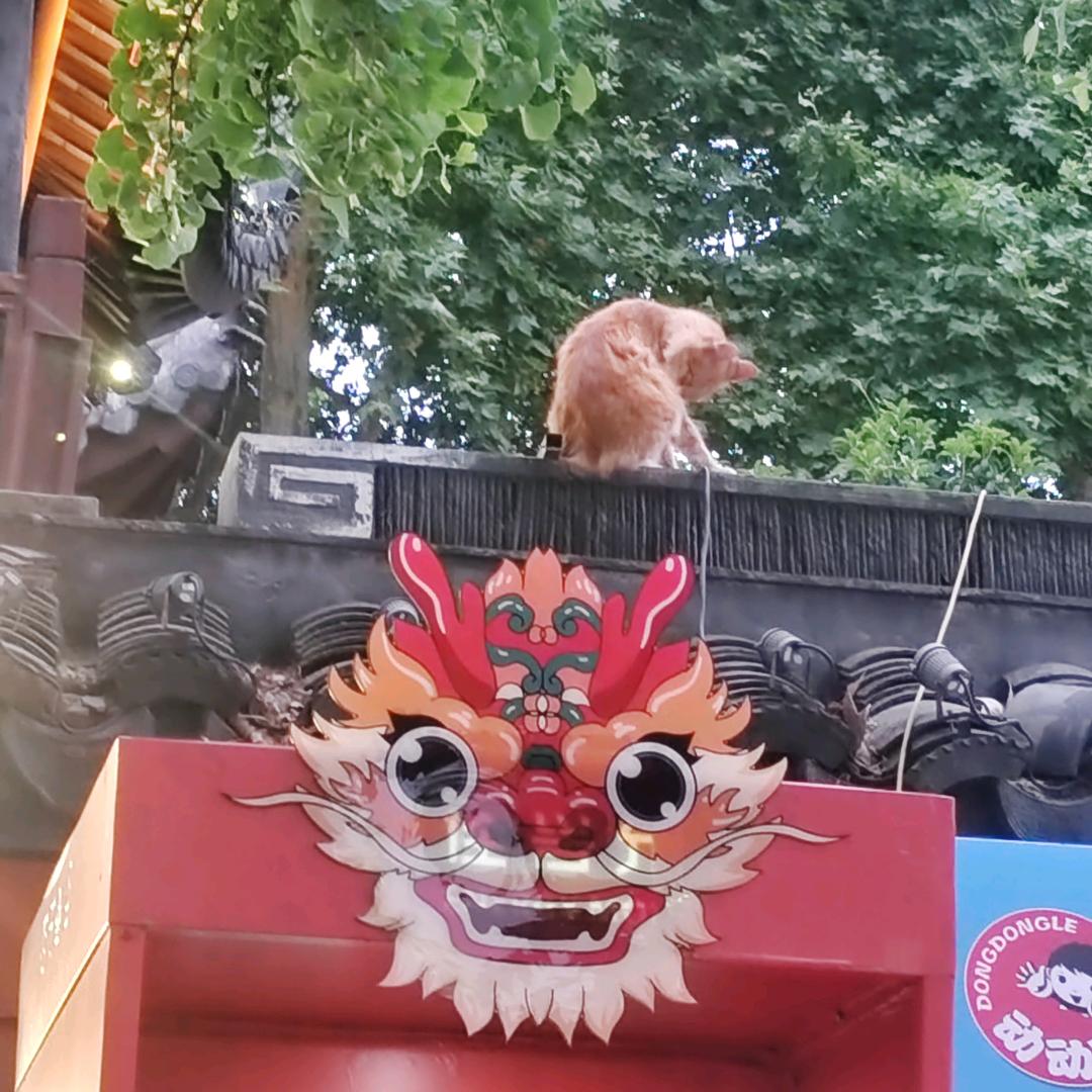 刷机精灵