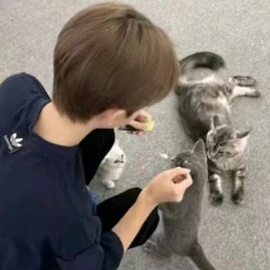 秋（╥_╥）