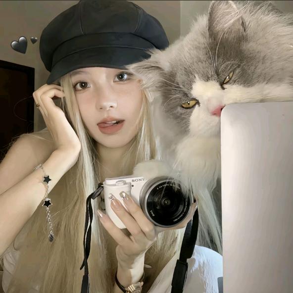 🐱💗